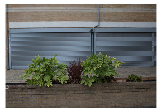 Lambeth-024