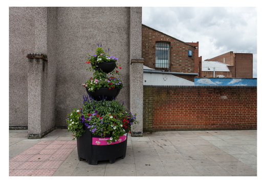 Newham-007