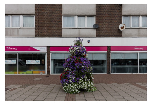 Newham-026