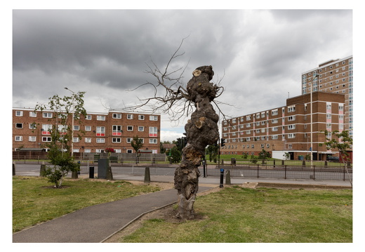 Barkin and Dagenham-013